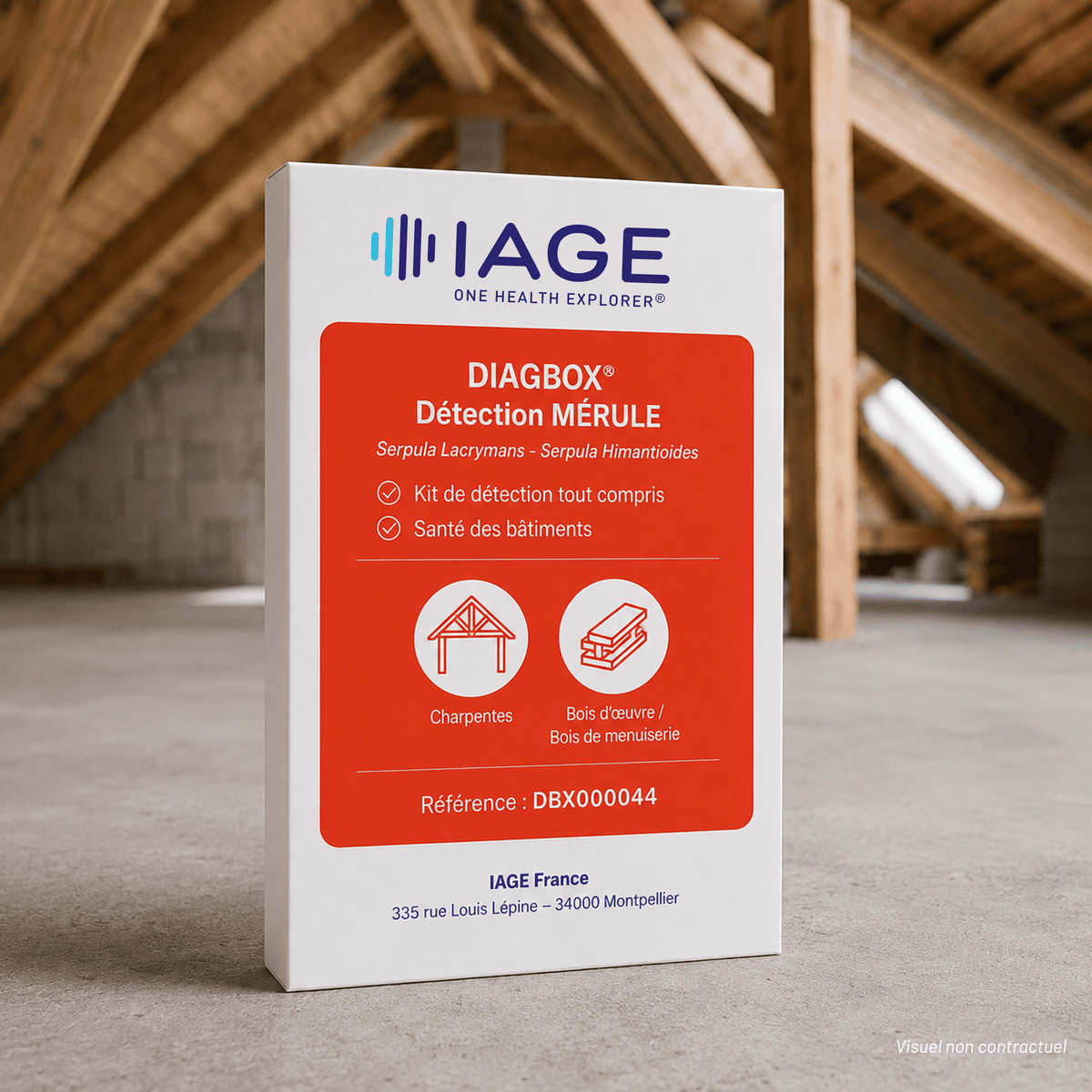 DIAGBOX® Détection Pro Mérule