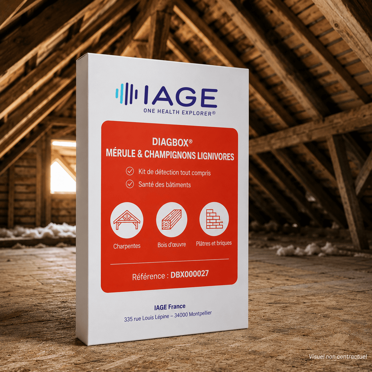 DIAGBOX® Pack Pro Mérule et 4 champignons lignivores