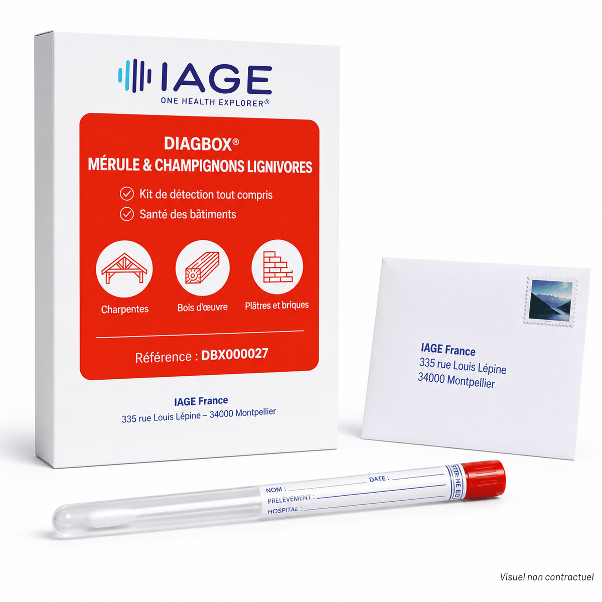 DIAGBOX® Pack Pro Mérule et 4 champignons lignivores
