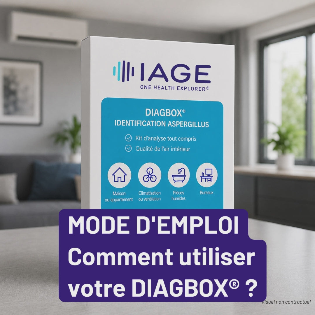 DIAGBOX® Pack Eco Qualité Air Intérieur Détection Aspergillus